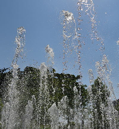 수질정화이미지